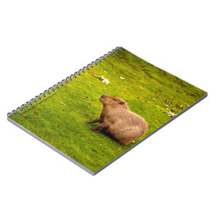 Capybara Notebook