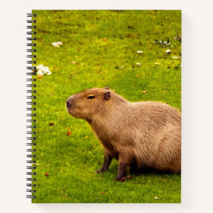 Capybara Notebook