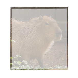 Capybara Notepad