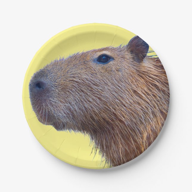 Capybara Paper Plate (Front)