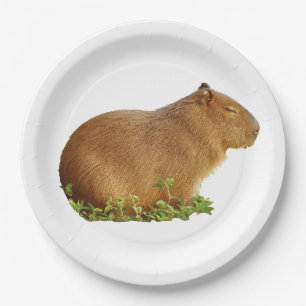 capybara paper plate