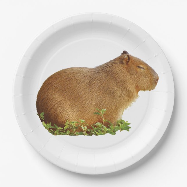 capybara paper plate (Front)