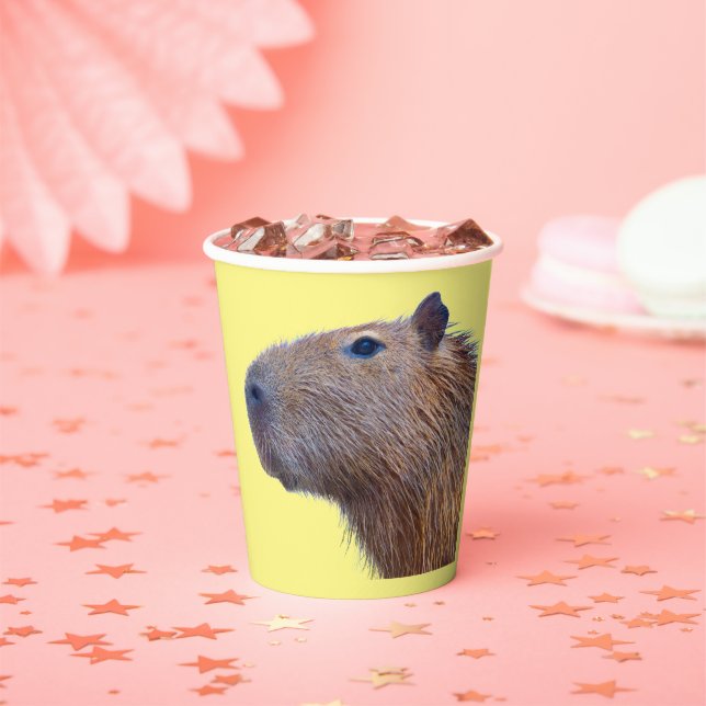 Capybara Paper Plates Cups (Insitu)