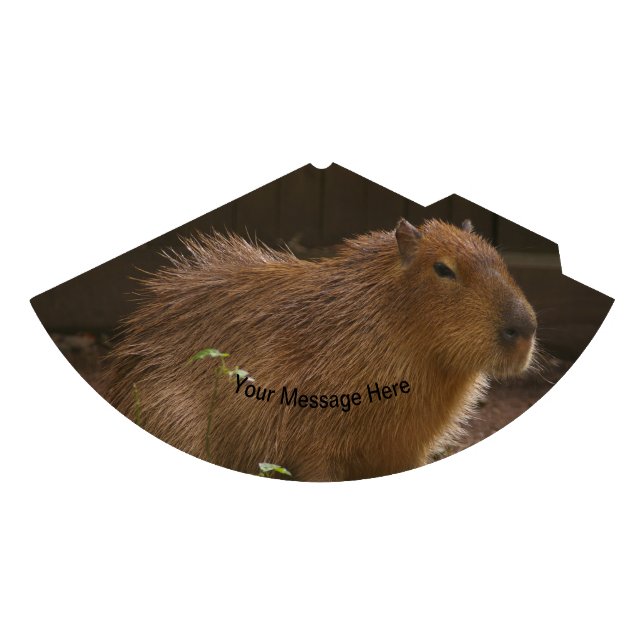 Capybara Party Hat (Front)