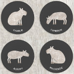 Capybara Personalized Coaster Set<br><div class="desc">A fun capybara design for animal lovers. Change the names or add your own text to personalize. Original art by Nic Squirrell.</div>