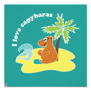 Capybara Photo Print