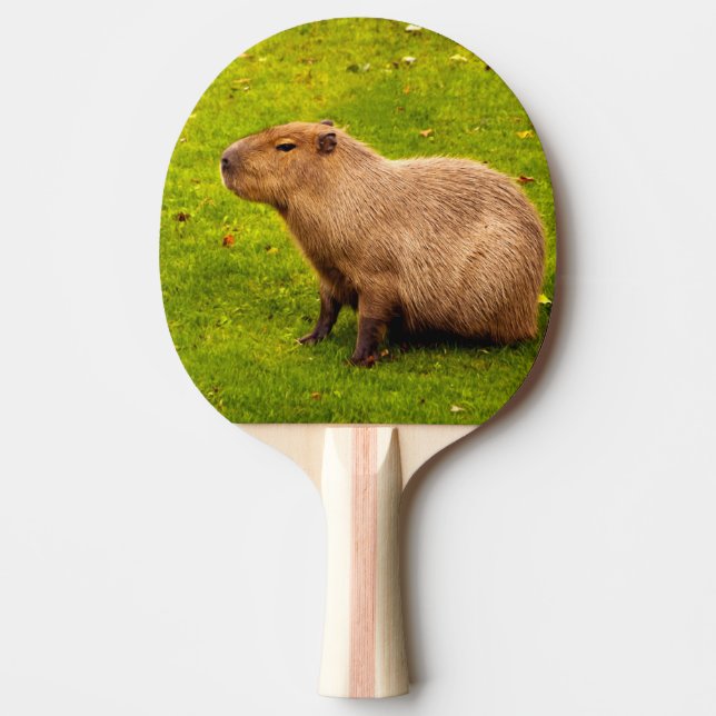 Capybara Ping Pong Paddle (Front)