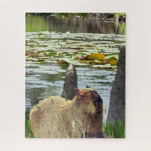 Capybara - Pneumatophores - Wildlife Jigsaw Puzzle