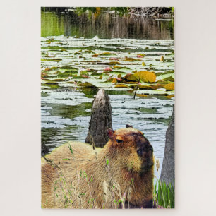 Capybara - Pneumatophores - Wildlife Jigsaw Puzzle