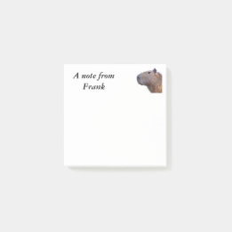 Capybara Post-it Notes