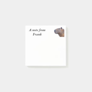 Capybara Post-it Notes