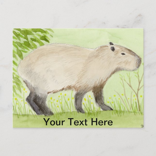 Capybara Postcard (Front)