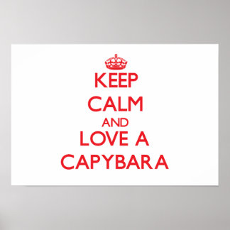 Capybara Poster