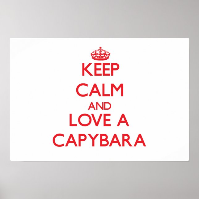 Capybara Poster (Front)