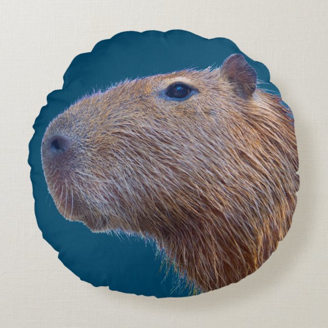 Capybara Round Pillow (Front)