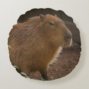 Capybara Round Pillow