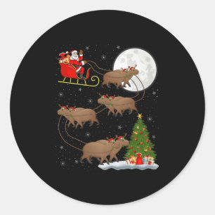 Capybara Santa Sleigh Flying Funny Magical Christm Classic Round Sticker