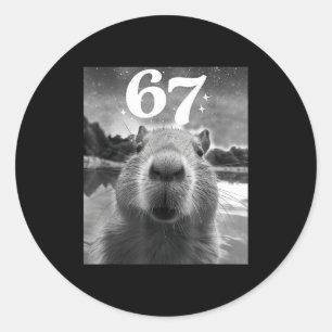 Capybara Selfie With 67 Meme Capy Graphic For Men  Classic Round Sticker