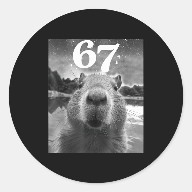 Capybara Selfie With 67 Meme Capy Graphic For Men  Classic Round Sticker (Front)