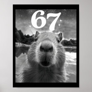 Capybara Selfie With 67 Meme Capy Graphic For Men Poster