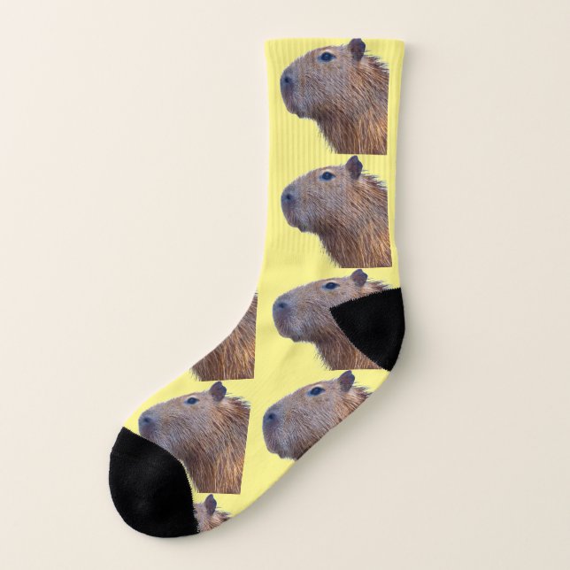 Capybara Socks (Left Outside)