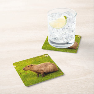Capybara Square Paper Coaster