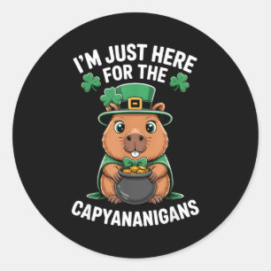 Capybara st patricks day lucky shamrock pot of classic round sticker