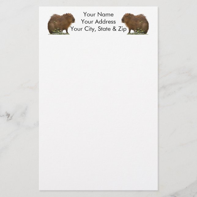 Capybara Stationery (Front)