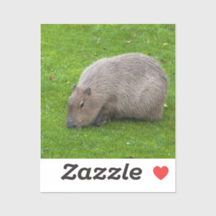 Capybara Sticker
