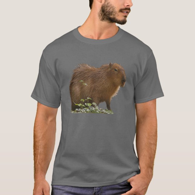 Capybara T-Shirt (Front)