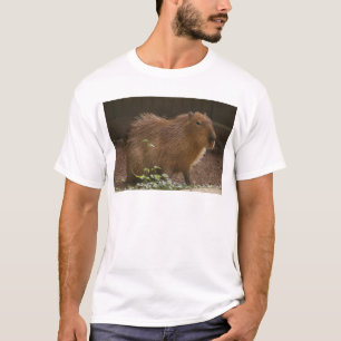 Capybara T-Shirt