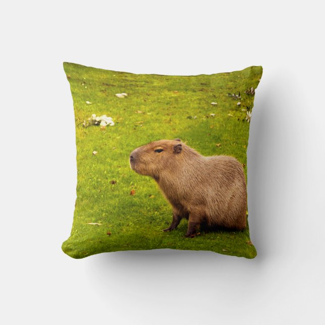 Capybara Throw Pillow (Front)