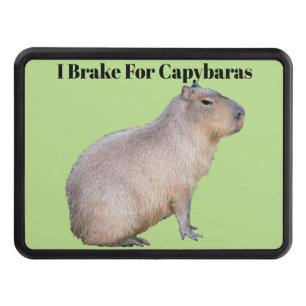 Capybara Trailer Hitch Cover