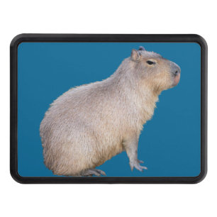Capybara Trailer Hitch Cover