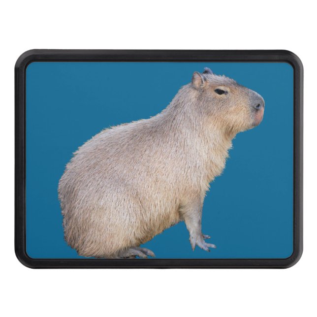 Capybara Trailer Hitch Cover (Front)