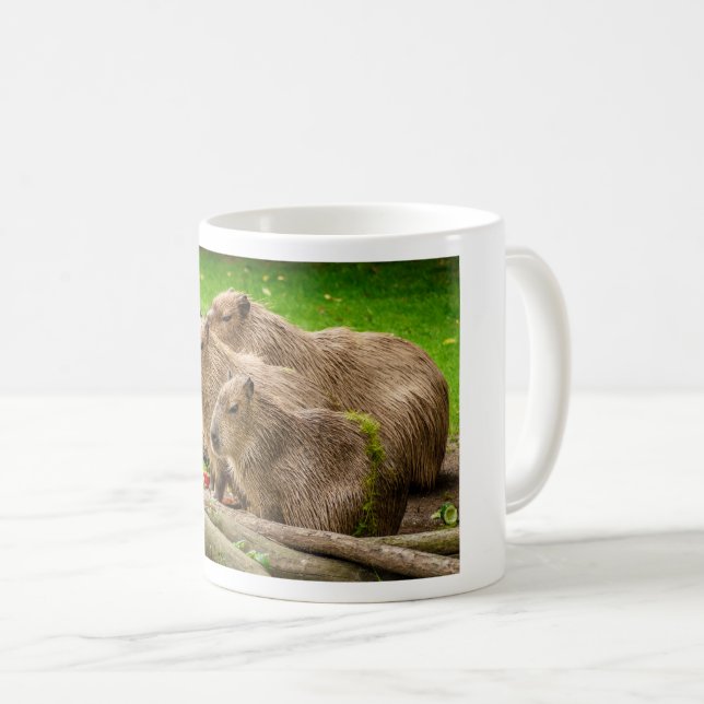 Capybara Trio Coffee Mug (Front Right)