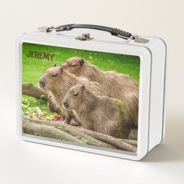 Capybara Trio Metal Lunch Box (Front)