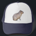 Capybara Trucker Hat<br><div class="desc">A photograph of a cute Capybara,  the largest rodent in the world. Customize by adding text or changing the background color to suit yourself.</div>