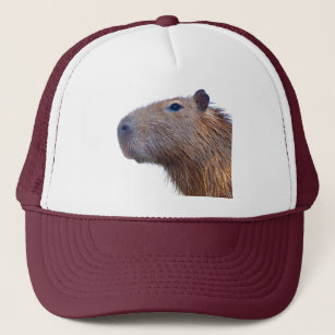 Capybara Hats & Caps