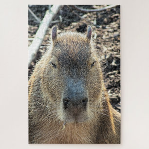 CAPYBARA WILD ANIMAL JIGSAW PUZZLE