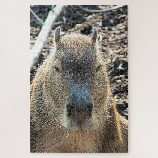 CAPYBARA WILD ANIMAL JIGSAW PUZZLE (Vertical)