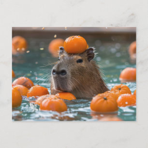 Capybara with Floating Oranges Postcard