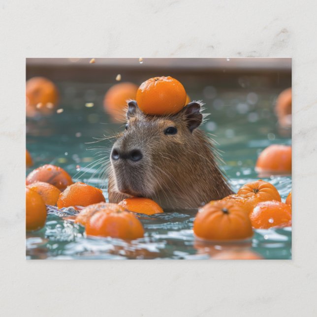 Capybara with Floating Oranges Postcard (Front)