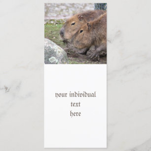 Capybarahs Invitation