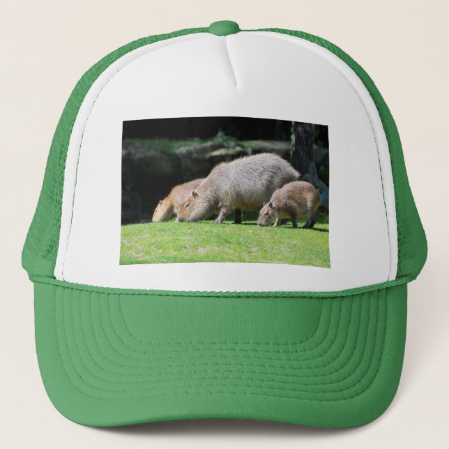 Capybaras grazing trucker hat (Front)