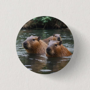 Capybaras' Swimming In The River, 1 Inch Round Button