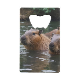 Capybaras' Swimming In The River, Credit Card Bottle Opener