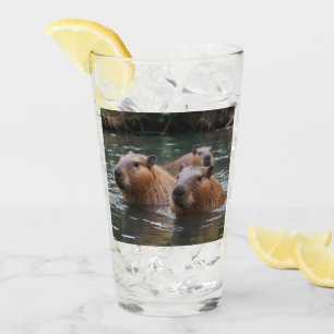 Capybaras' Swimming In The River, Glass