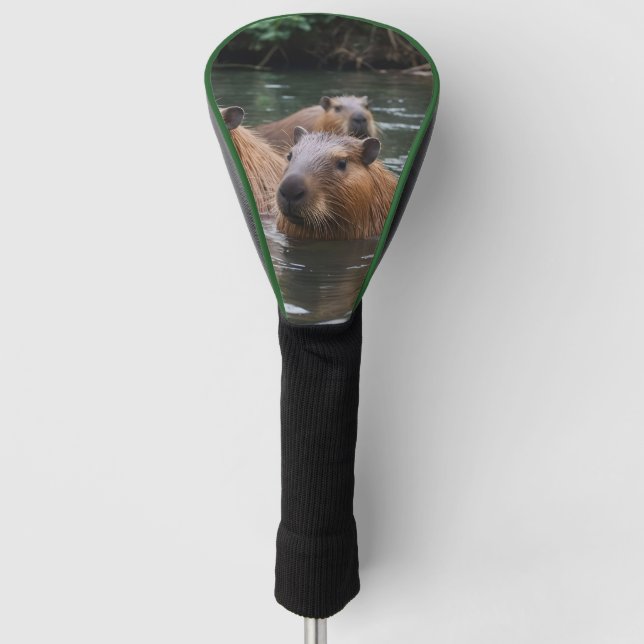 Capybaras' Swimming In The River,  Golf Head Cover (Front)
