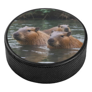 Capybaras' Swimming In The River,  Hockey Puck